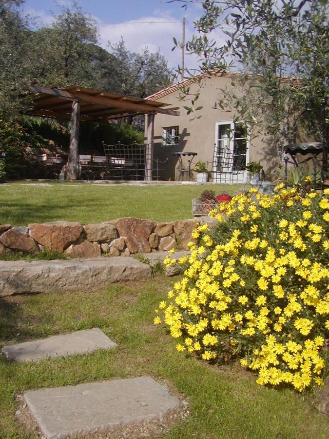Settignano Tuscany Homes Dış mekan fotoğraf