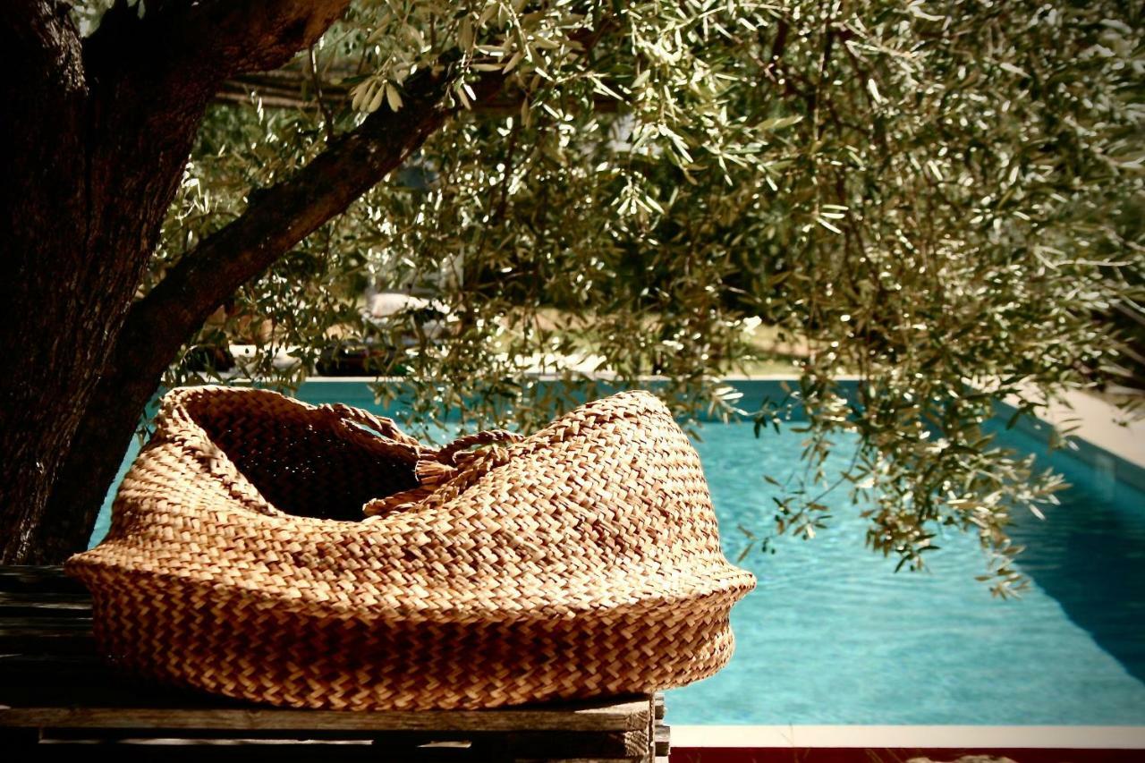 Settignano Tuscany Homes Dış mekan fotoğraf