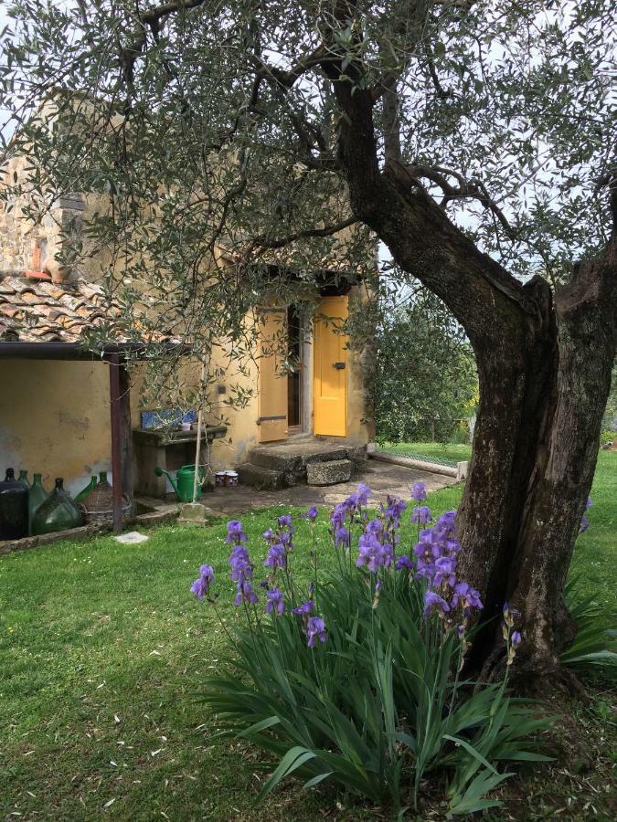 Settignano Tuscany Homes Dış mekan fotoğraf